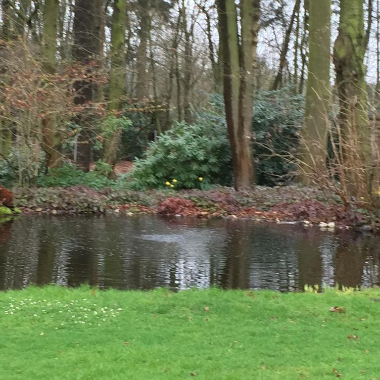 Villa Am Huelser Berg Naehe Duesseldorf クレーフェルト エクステリア 写真